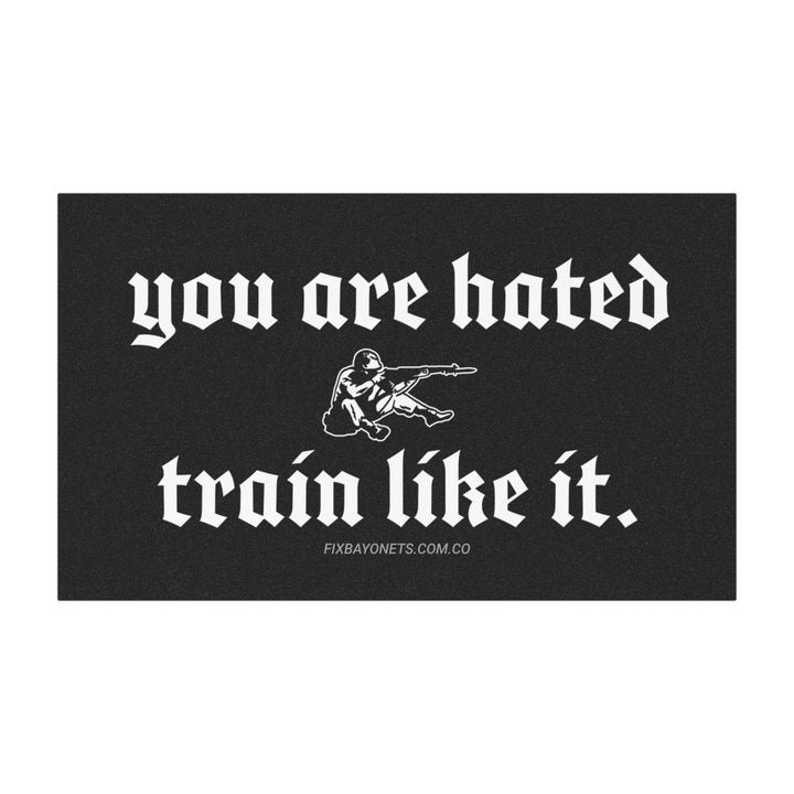 You are hated, train like it Car Magnet
