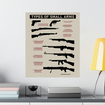 TYPES OF SMALL ARMS Poster