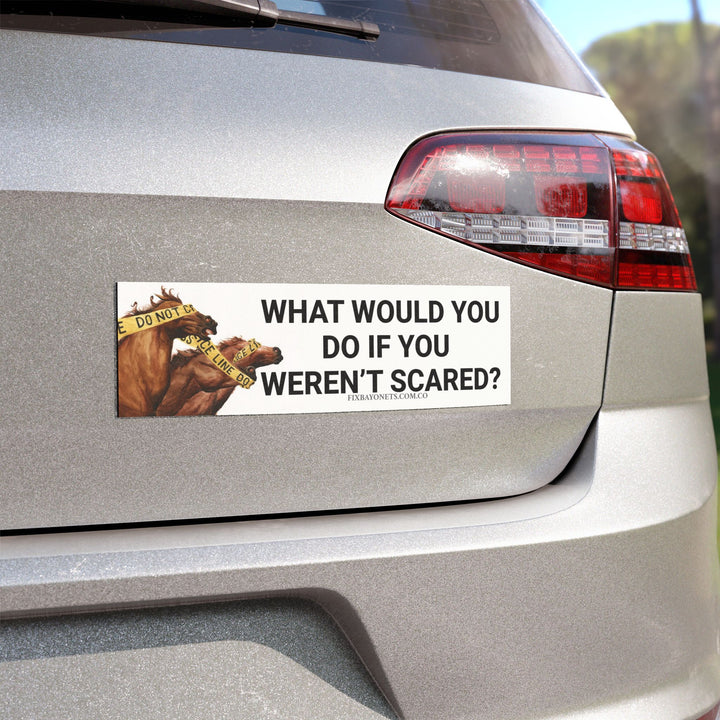 WWYDIYWS? Car Magnet