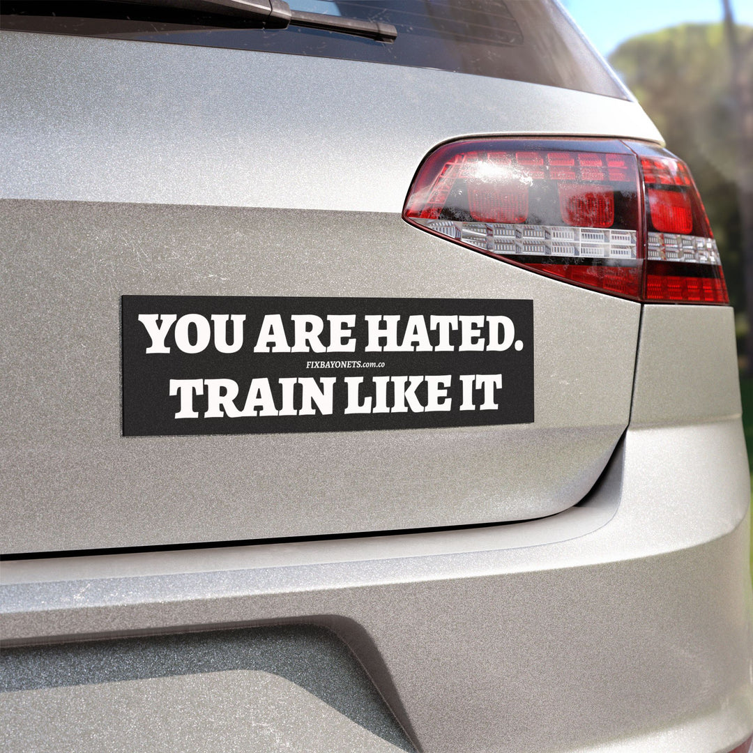 YOU ARE HATED Car Magnet