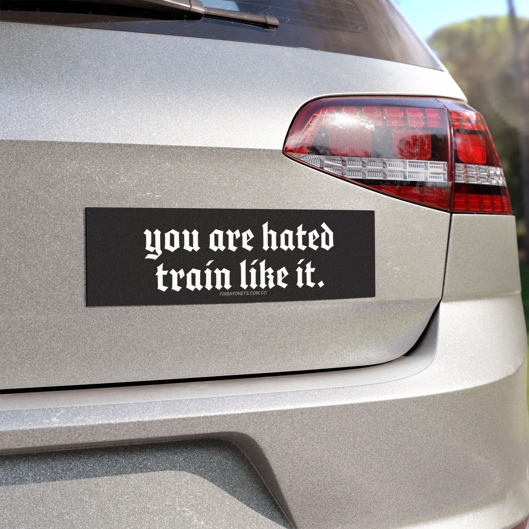 You are hated, train like it Car Magnet
