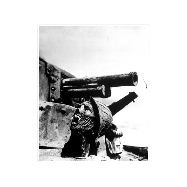 Skull on a Tank Sticker