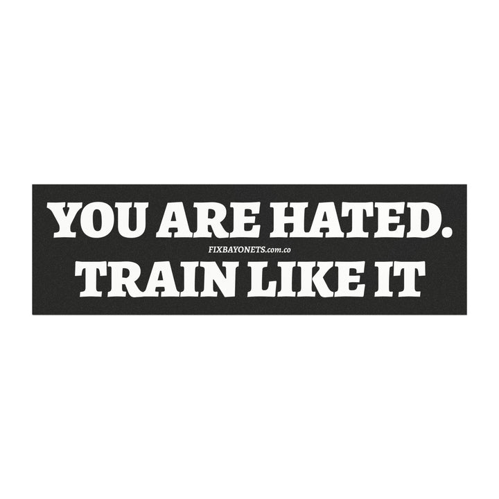 YOU ARE HATED Car Magnet