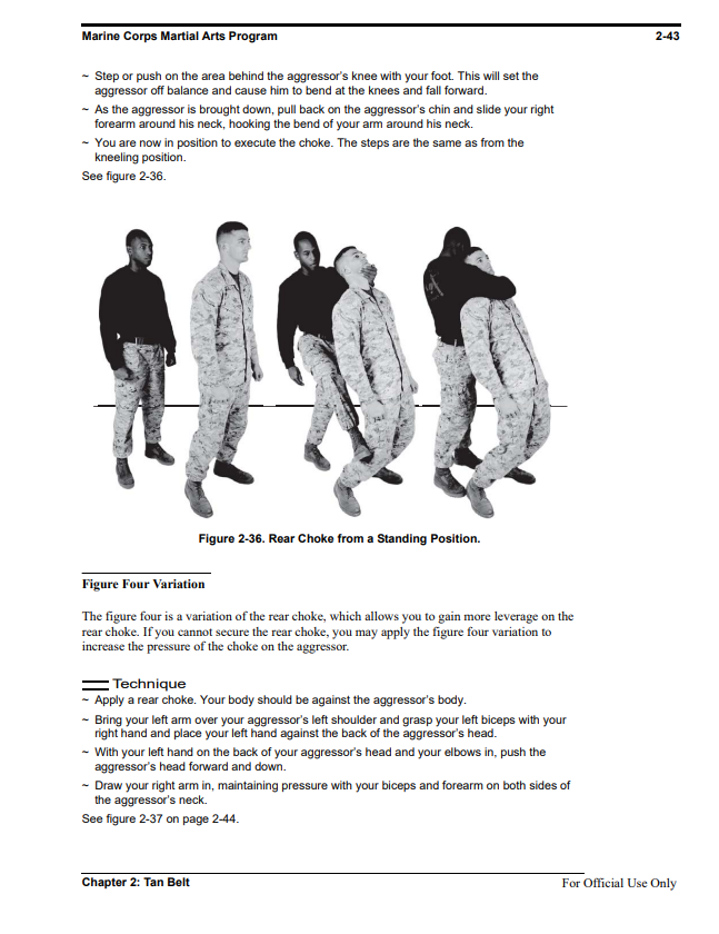 Marine Corps Martial Arts Manual (E-Book)